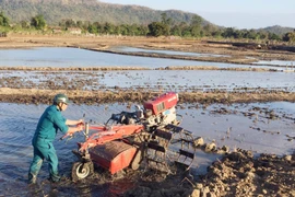 Nước về trên cánh đồng làng Vơng Chép