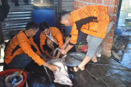 Người Dao ở Chư Krey vui đón Tết Canh Tý 2020