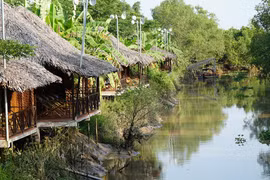 Vi vu miền quê Nam Bộ đẹp như cổ tích