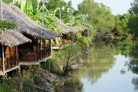 Vi vu miền quê Nam Bộ đẹp như cổ tích