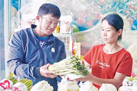 Nâng tầm thương hiệu "Rau An Khê"