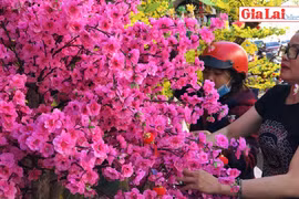 Hoa giả "hút" khách dịp Tết