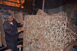 Chư Prông phát triển nghề trồng dâu nuôi tằm