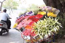 Em ơi, Hà Nội hoa