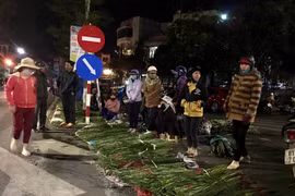 Chợ hoa lay ơn: Giá rẻ vẫn vắng người mua