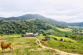 Muôn nẻo nhà đầm Bahnar