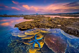 Khởi động cuộc thi ảnh nghệ thuật du lịch 'Khám phá Việt Nam'