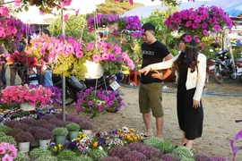 Pleiku: Tăng cường các điểm chợ hoa Tết Canh Tý