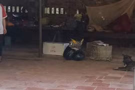 Phát hiện 9 bộ xương người