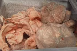 Thu giữ 200 kg gan và mỡ heo không rõ nguồn gốc