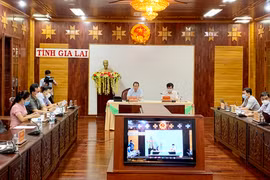 Tăng cường kết nối, hợp tác nông nghiệp Việt Nam-châu Phi