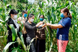 Chư Pưh đồng hành cùng phụ nữ nghèo