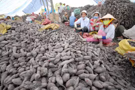 Cùng vượt qua sóng gió (*)