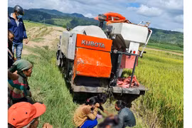 Ia Pa: Một em nhỏ bị máy cắt lúa cán tử vong