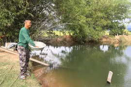 "Bà đỡ" của nông dân Chư Răng