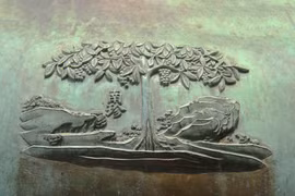 Vì sao cây bòn bon được chọn khắc trên Nhân đỉnh?