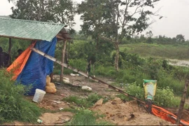 Chư Sê: Củng cố hồ sơ để khởi tố vụ phá rừng và lấn chiếm đất rừng trái phép