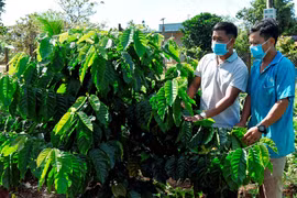 Bình Giáo hướng đến mục tiêu giảm nghèo bền vững