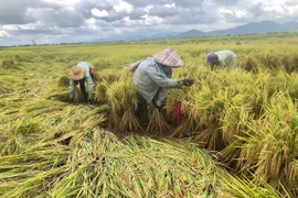 Phú Thiện khẩn trương khắc phục hậu quả mưa bão