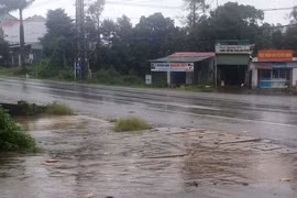 Pleiku: Nam thanh niên tử vong bên lề đường do tai nạn giao thông