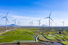 Quy hoạch điện VIII: Tăng điện than, gác điện gió