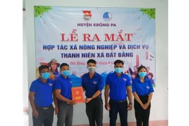 Hợp tác xã nông nghiệp và dịch vụ thanh niên xã Đất Bằng: Hội tụ sức trẻ và niềm tin