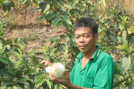 Agribank Chư Păh đầu tư vốn cho kinh tế trang trại