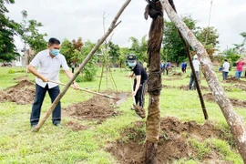 Ayun Pa phát động hưởng ứng chương trình trồng 1 tỷ cây xanh