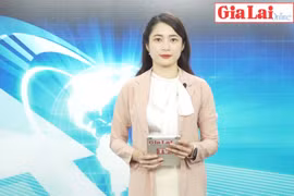 Gia Lai 48h: Chấn chỉnh công tác giải quyết và trả lời các ý kiến, kiến nghị của cử tri