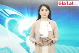 Gia Lai 48h: Chấn chỉnh công tác giải quyết và trả lời các ý kiến, kiến nghị của cử tri