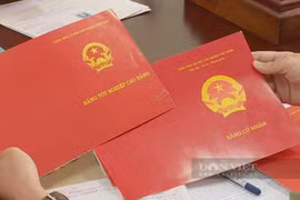 Đắk Lắk: Hàng loạt giáo viên sử dụng bằng giả bị buộc thôi việc