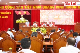 Hội nghị lần thứ 5 Ban Chấp hành Đảng bộ tỉnh Gia Lai: Hoàn thành nội dung, chương trình đề ra