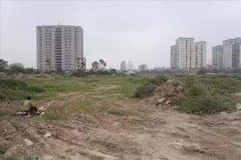 Giảm 30% tiền thuê đất cho các đối tượng bị ảnh hưởng bởi dịch Covid-19