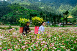 Nhiều điểm du lịch mở cửa đón du khách