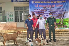 Chư Prông: Trao 12 con dê giống hỗ trợ hộ khó khăn
