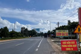 Sửa kết quả xét nghiệm Covid-19 để... "trốn việc"