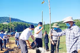 Trồng cây "Đời đời nhớ ơn Bác Hồ" tại huyện Kbang