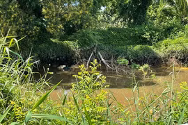 Bình Thuận: Phát hiện thi thể người dưới ao khi chài cá