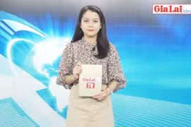 Gia Lai 48h: Tập trung đầu tư các dự án có sức lan tỏa cao trong năm 2022