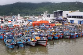 Bão số 6 suy yếu thành một vùng áp thấp, nhiều khu vực có mưa dông