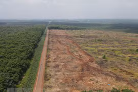 Dự án sân bay Long Thành: Chưa thể chi trả tiền bồi thường vì COVID-19