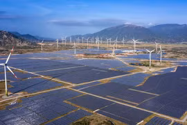 Bộ Công thương: 'Quy hoạch điện 8 giảm điện than, tăng điện tái tạo'