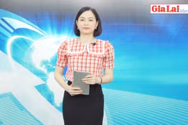 Gia Lai 48h: Thu hút đầu tư góp phần tạo đột phá phát triển kinh tế-xã hội