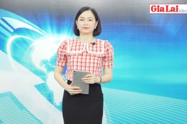 Gia Lai 48h: Thu hút đầu tư góp phần tạo đột phá phát triển kinh tế-xã hội