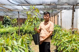 "Ngã ở đâu thì đứng dậy ở đó"