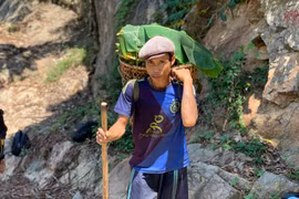 Quảng Ngãi: 'Người rừng' Hồ Văn Lang đã vĩnh biệt núi rừng