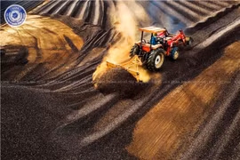 Liên hoan Ảnh nghệ thuật khu vực Nam Trung Bộ và Tây Nguyên: Gia Lai có 1 huy chương đồng