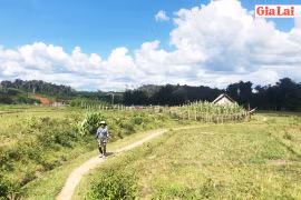 Yên bình làng Kon Lốc 1