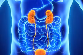 Thấy nước tiểu có bọt cảnh báo điều gì?