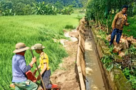 Chư Păh: Mưa lớn sạt lở kênh mương thủy lợi Ia Naih